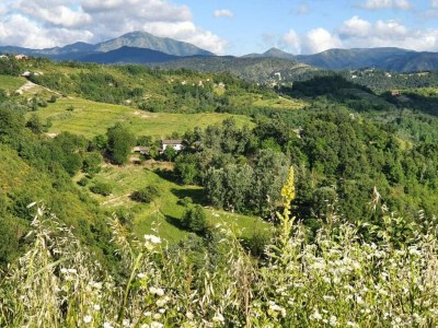 Castle Gästehaus in Monferrato mit Weinverkostung - Environment photo 19