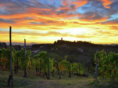 Castle Gästehaus in Monferrato mit Weinverkostung - Environment photo 29