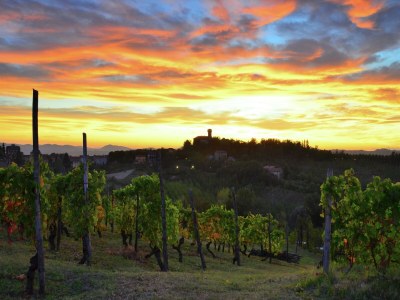 Apartment Guest House in Monferrato with Wine Tasting - Environment photo 23