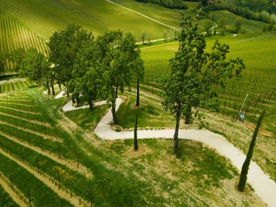 Holiday house Ferienhaus in Castel San Pietro Terme - Outdoor photo 4
