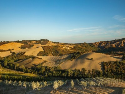 Holiday house Premium-Ferienhaus mit Pool - Outdoor photo 4