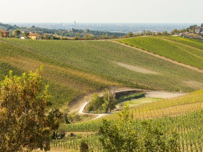 Holiday house Premium-Ferienhaus mit Pool - Outdoor photo 7