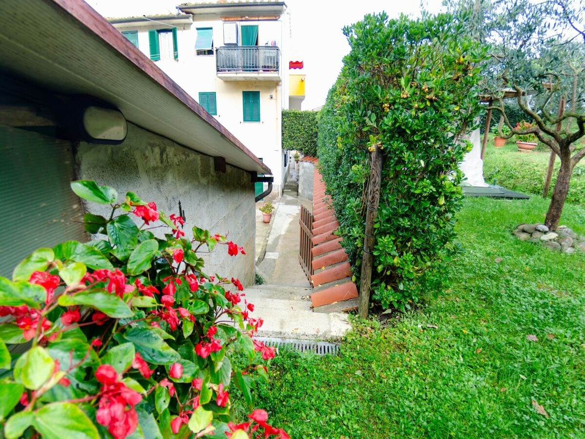 Apartment Holiday Home in Lucca with Pool & Garden - Outdoor photo 2
