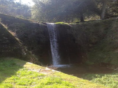 Apartment Holiday Home in Lucca with Pool & Garden - Environment photo 28