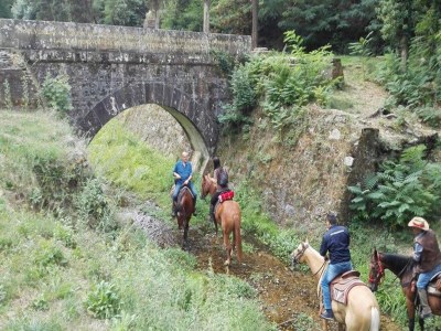 Apartment Holiday Home in Lucca with Pool & Garden - Outdoor photo 30