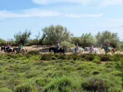 Holiday park Strandmobilhaus mit Terrasse - Environment photo 20