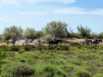 Holiday park Strandmobilhaus mit Terrasse - Environment photo 37