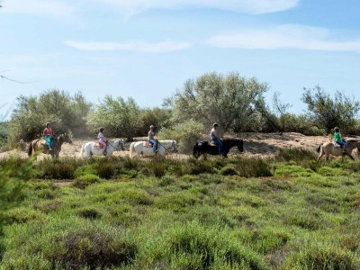 Holiday park VIP mobile home with terrace - Environment photo 17