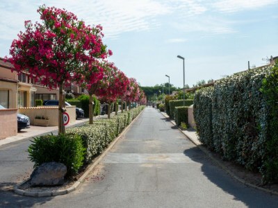 Holiday park Cozy beach House in Les Tamaris - Outdoor photo 27