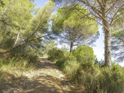 Apartment Appartements mit Veranda, Andora - Environment photo 14