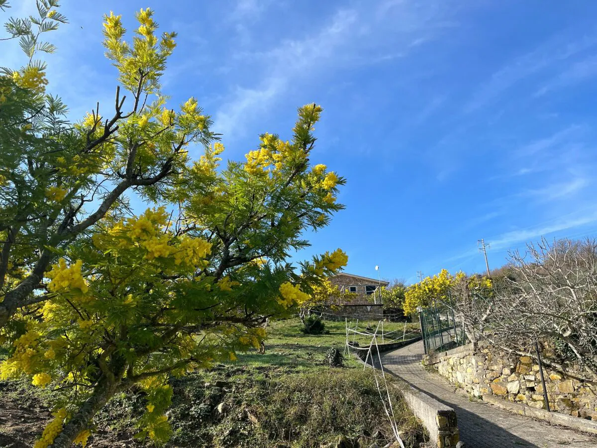 Apartment Appartement in Imperia - Outdoor photo 5