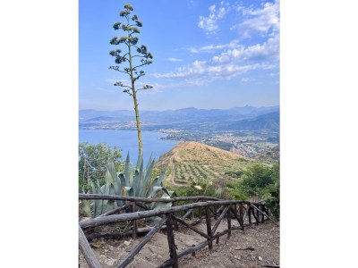 Holiday house Casa Vacanze “Il Giardino” - Environment photo 37