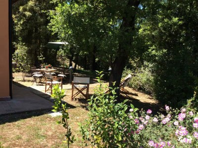 Holiday house Casa Il Gelsomino near Firenze,San Gimignano,Siena - Outdoor photo 10