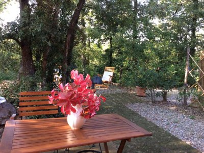 Holiday house Casa Il Gelsomino near Firenze,San Gimignano,Siena - Outdoor photo 11