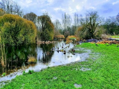 Apartment Dancenter Hotel Jomfru Ane Premium Single - Environment photo 30