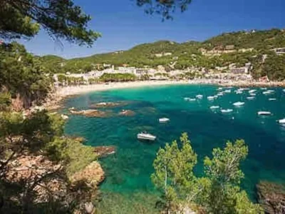 Apartment Apartment in Llafranc near Sandy Beach - Environment photo 23