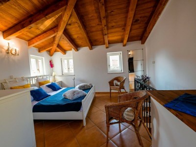 Apartment Sleek and Trendy Downtown Apartment - One Bedroom Apartment - Features photo 17