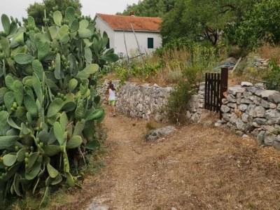 Apartment Apartments Stiniva Hvar - Studio Apartment With Terrace (A2) - Outdoor photo 10