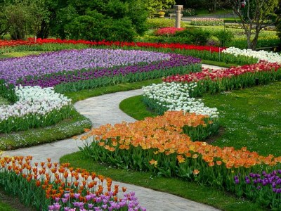 Holiday house La Petite Dame - Environment photo 37