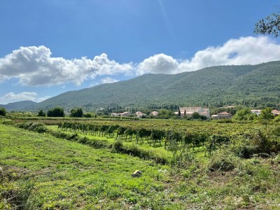 Apartment Apartment LaVilla - Two Bedroom Apartment with Balcony and Sea View (Žuti) - Outdoor photo 55