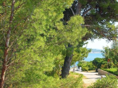 Apartment Apartments Villa Rea Orebić - One Bedroom Apartment with Terrace ( 3 ) - Outdoor photo 11