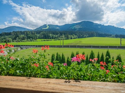 Apartment Haus-Nr: OTR07025-DYC - Outdoor photo 7