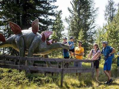 Chalet Chalet # 6b mit 4 Schlafzimmern & IR-Sauna - Environment photo 30