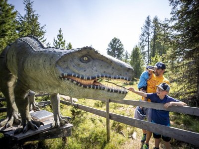 Chalet Chalet # 2b mit 4 Schlafzimmer IR-Sauna & Whirlpool - Environment photo 27