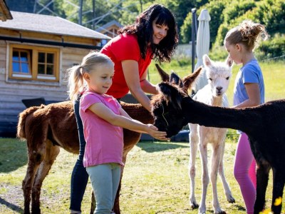 Chalet Chalet # 22 mit 4 Schlafzimmer Sauna & Whirlpool - Environment photo 24