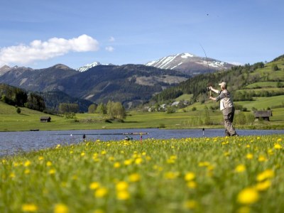 Chalet Chalet # 49b mit 4 Schlafzimmer IR-Sauna & Whirlpool - Environment photo 23