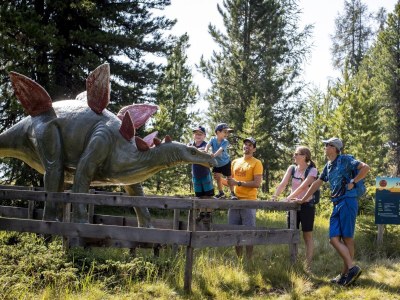 Chalet Chalet # 65a mit 4 Schlafzimmer IR-Sauna & Whirlpool - Environment photo 31