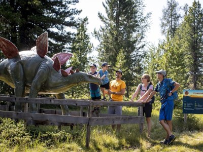 Chalet Superior Chalet # 66 mit IR-Sauna & Whirlpool - Environment photo 33