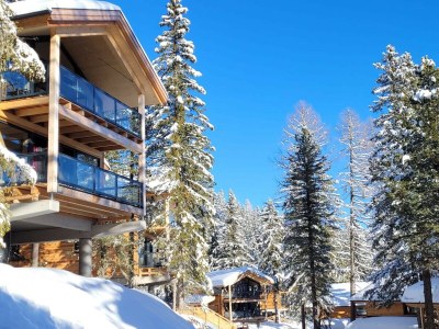 Chalet Superior Chalet # 11 mit Sauna & Hot Tub - Outdoor photo 3