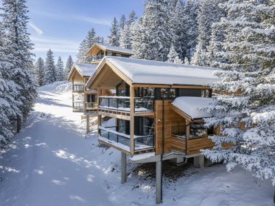 Chalet Premium Superior Chalet # 29 mit Sauna & Hot Tub in Turrach - Chalet