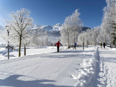 Chalet Superior Ferienhaus # 2B mit Sauna - Environment photo 23