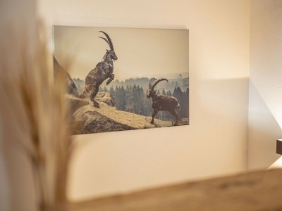 Chalet Premium Ferienhaus # 1B mit Sauna - Features photo 23