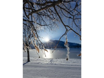 Chalet Superior Ferienhaus # 5B mit Sauna - Environment photo 21