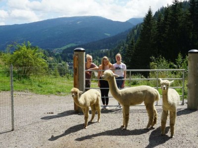 Apartment Ferienwohnung #3 mit 2 Schlafzimmern für bis zu 6 Personen - Environment photo 24