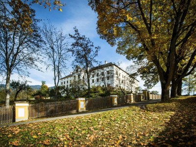 Apartment Ferienwohnung #3 mit 2 Schlafzimmern für bis zu 6 Personen - Environment photo 36