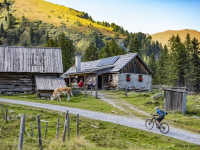 Chalet Superior Ferienhaus # 43 mit Whirlwanne - Environment photo 23