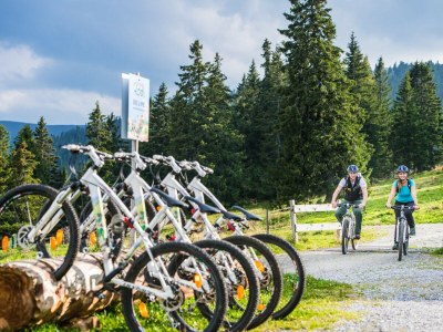 Chalet Superior Ferienhaus # 48 mit IR-Sauna - Environment photo 20