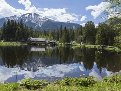 Chalet Superior Ferienhaus # 48 mit IR-Sauna - Environment photo 24