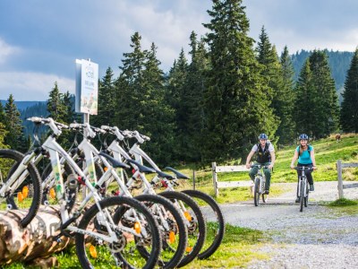 Chalet 06_FH8P_ADH047 (WP außen) - Environment photo 26