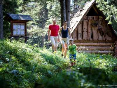 Chalet Chalet # RFL003 mit 3 Schlafzimmern und Sauna - Environment photo 30