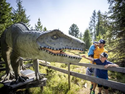 Chalet Superior Chalet # 28 mit Sauna - Environment photo 25