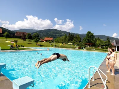 Chalet Superior Chalet # 28 mit Sauna - Environment photo 28