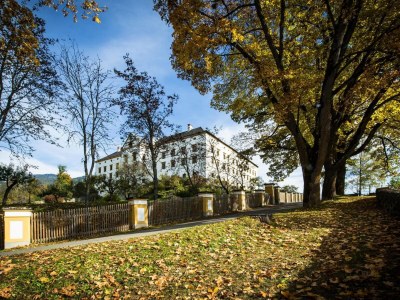 Chalet Chalet # 47b mit 4 Schlafzimmern & IR-Sauna - Environment photo 22