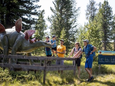 Chalet Chalet # 3 mit 4 Schlafzimmer IR-Sauna & Whirlpool - Environment photo 25