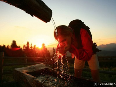 Chalet Chalet # 13b mit 4 Schlafzimmer IR-Sauna & Whirlpool - Environment photo 24