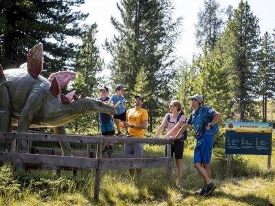 Chalet Chalet # 31a mit 4 Schlafzimmer IR-Sauna & Whirlpool - Environment photo 27